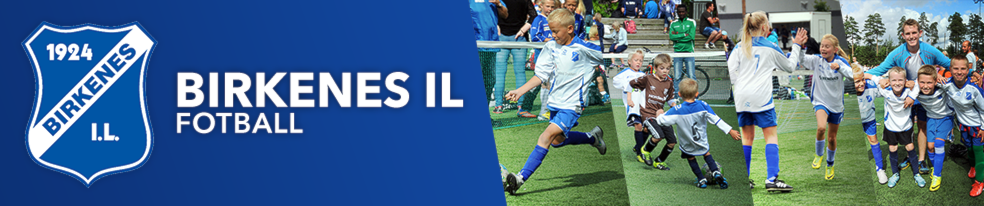 Birkenes IL - Fotball